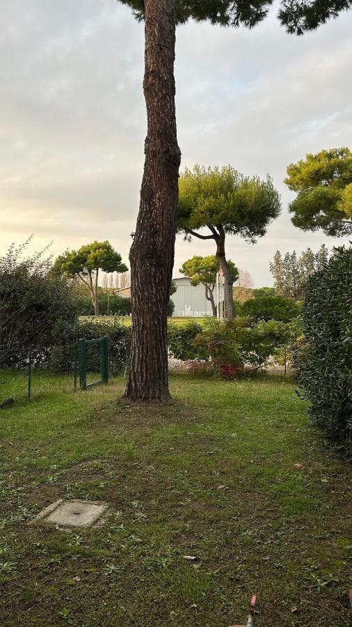 Immobiliare Al Ponte Apartment Cavallino-Treporti Exterior photo